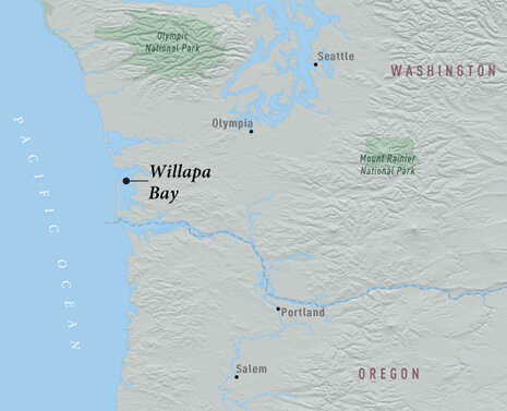 Willapa Bay map