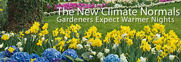 Spring blooms at Longwood Gardens