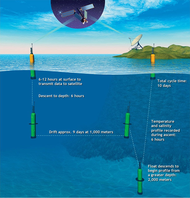 Typical float cycle infographic