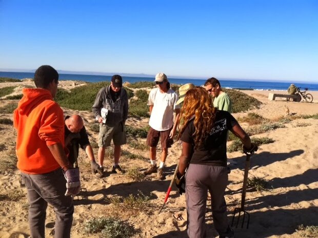 A group of volunteers stands on a dune 