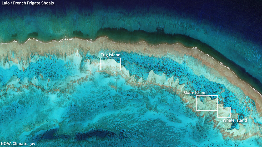 Satellite image of reefs and sand bars along the northern rim of Lalo (French Frigate Shoals)