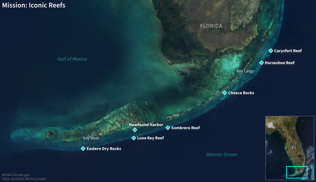 Satellite image of iconic reefs