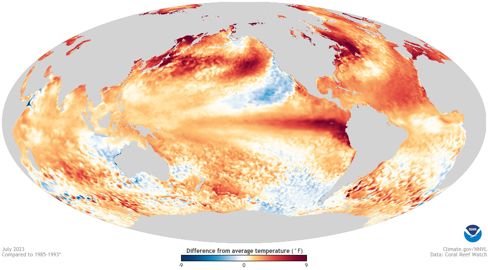 global map of sea surface temperature patterns in July 2023