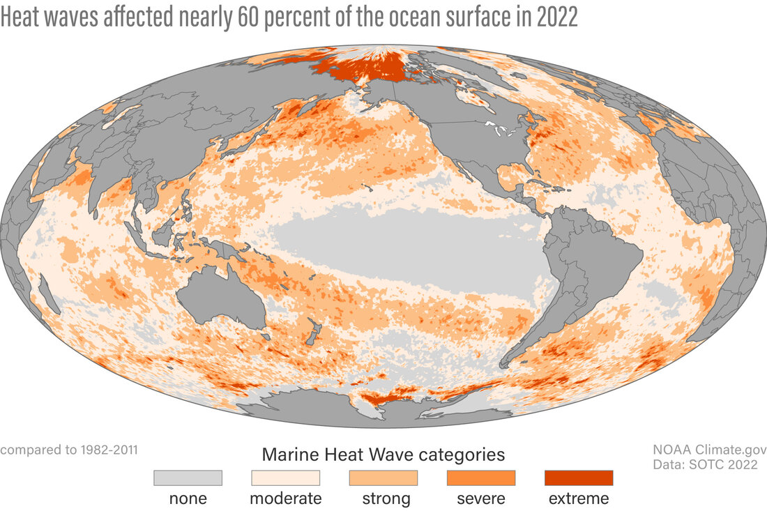 Global map of highest marine heat wave detected in 2022
