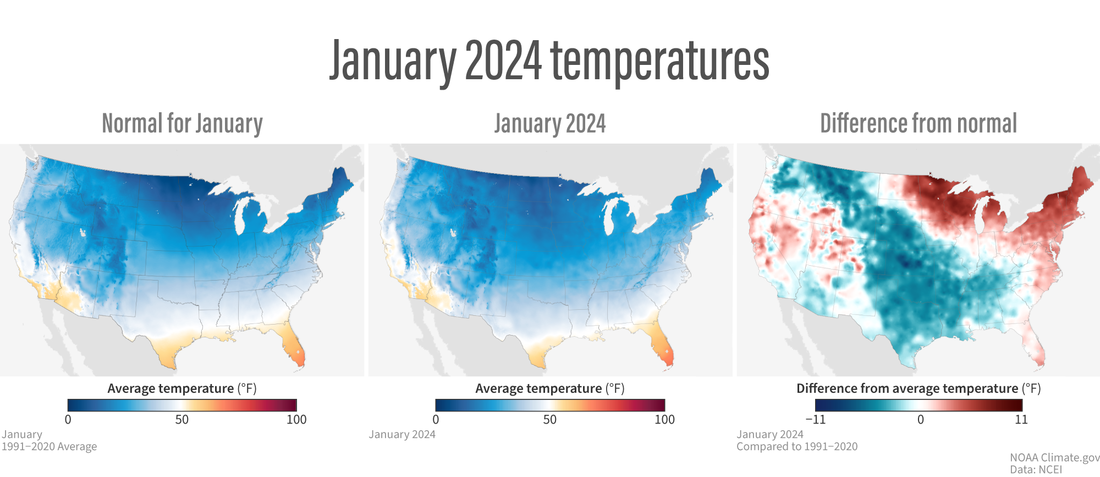 Trio of U.S. maps showing normal January temperatures, absolute temperatures in January 2024, and the difference from average 