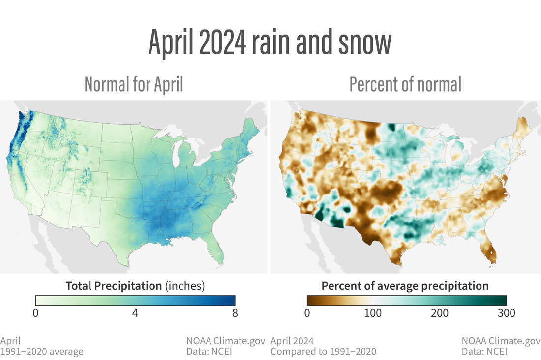U.S. maps of normal April precipitation and percent of normal precipitation in April 2024