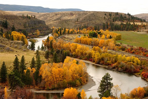 Photo of Yakima River lined with trees showing fall colors