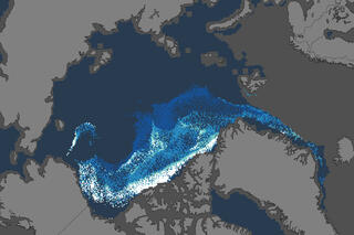 Sample image of the weekly Age of Arctic Sea Ice