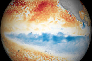 Sample image of monthly sea surface temperature anomalies in the ENSO monitoring region of the Pacific Ocean