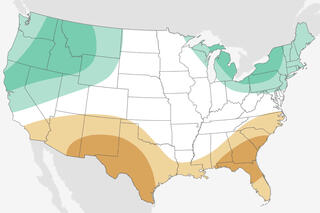 Sample image of the monthly Precipitation Outlook.