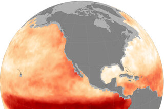 Globe-style map showing models' skill in predicting ocean heatwaves from 3 month lead times