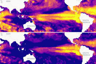 two maps of chances of ocean heat waves in September 2023