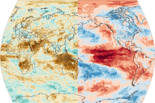 side-by-side half-global maps of frequencies of wet or dry El Niño summers and warm or cool El Niño summers