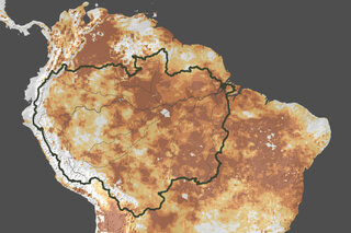 Map image for Preliminary analysis says global warming more to blame than El Niño for Amazon’s ongoing record drought 