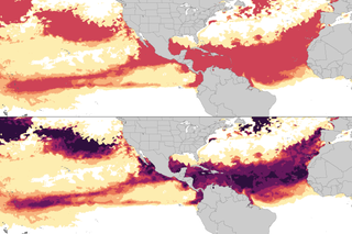 Map image for NOAA Coral Reef Watch extends alert scale following extreme coral heat stress in 2023