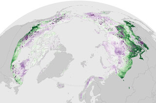 arctic report card carbon rotator