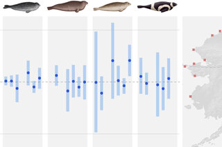 arctic report card ice seals rotator