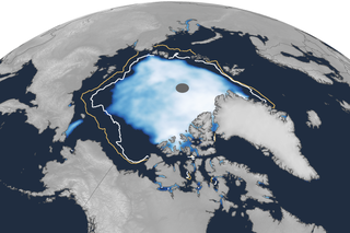 arctic report card sea ice rotator