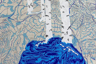 Depiction of water body and tree trunks overlain on map