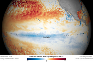 Image for ENSO