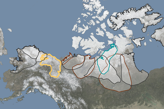 Map image for 2018 Arctic Report Card: Reindeer and caribou populations continue to decline