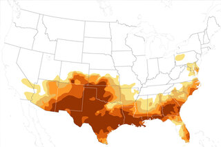 Map image for Exceptional Drought Widespread in July 2011