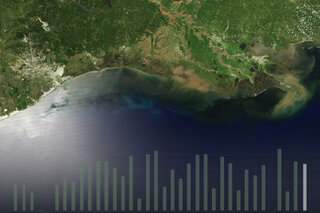 Map image for Larger-than-average dead zone forecast for Gulf of Mexico in summer 2020