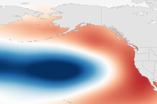 Map image for Scientists link to toxic algal blooms along U.S. West Coast to warm waters in the Pacific