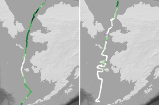 Map image for Saildrones monitor plant growth and acidification in remote Arctic waters 