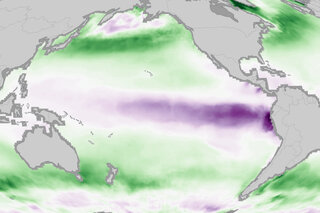 Map image for 2017 State of the climate: Ocean uptake of human-produced carbon