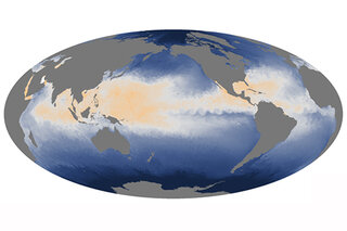 Map image for Data Snapshots: Sea Surface Temperature on August 19, 2014