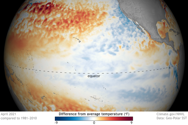 Spherical map of tropical Pacific ocean temperatures in April 2021