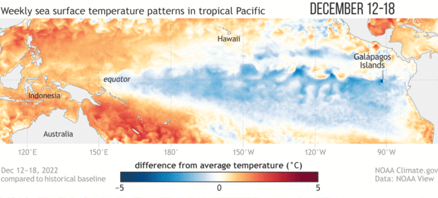 Promo image for animation showing sea surface temperature in the tropical Pacific