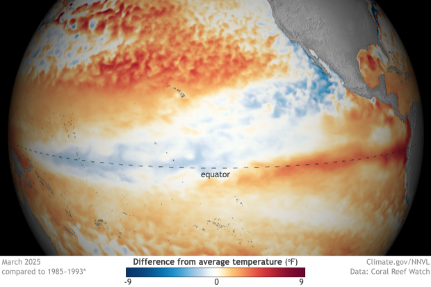 Globe-style map of Pacific ocean surface temperature anomalies along the equator
