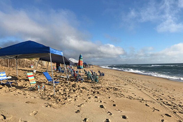 Beach scene