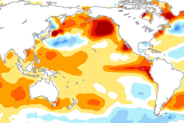 Map of June 2014 temperature anomalies in the Pacific Ocean