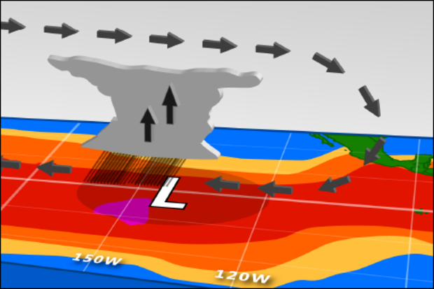 Image of the state of the ocean, atmosphere, rainfall, pressure, and winds over the Pacific during ENSO conditions.