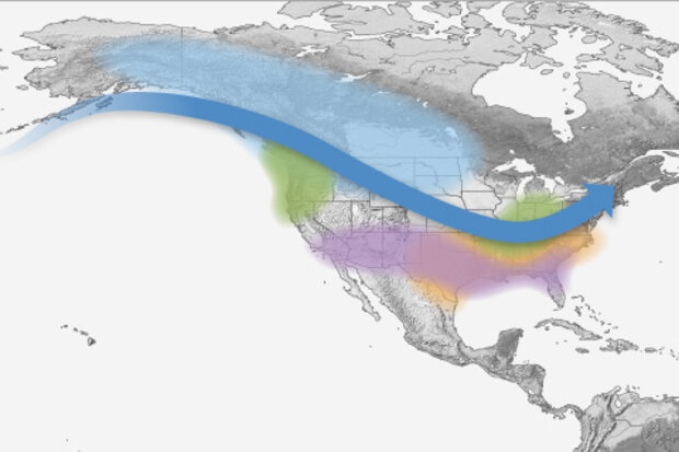 La Nina impacts