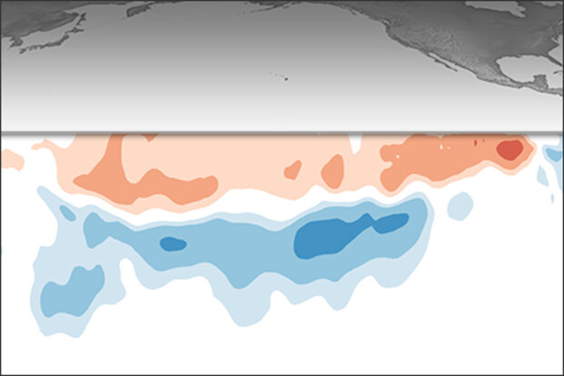 ENSO Update