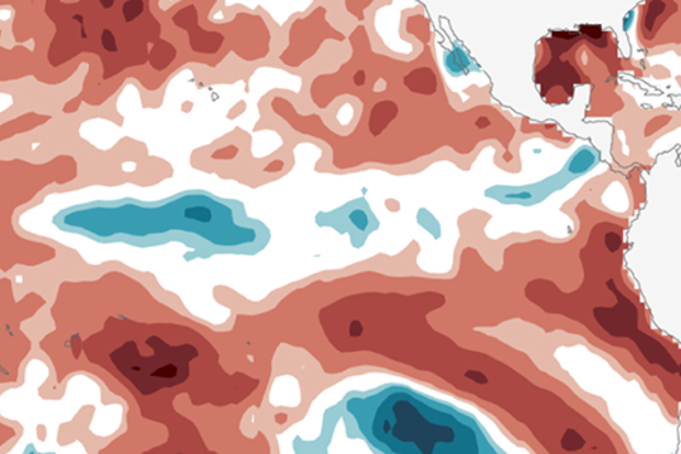 Image of average sea surface temperature during January 2017, shown as departure from the long-term (1981-2010) average