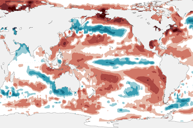 Sea surface temperature anomalies