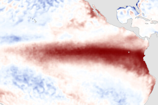 Map of Pacific Ocean temperature anomalies during a strong El Niño event