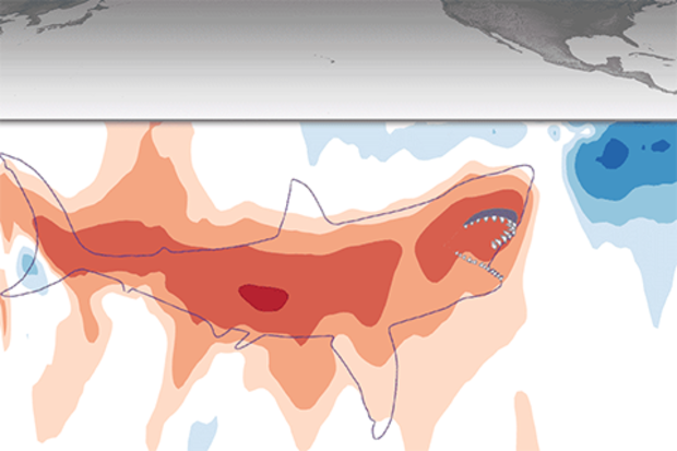 Map of sub-surface water temperatures in the eastern tropical Pacific