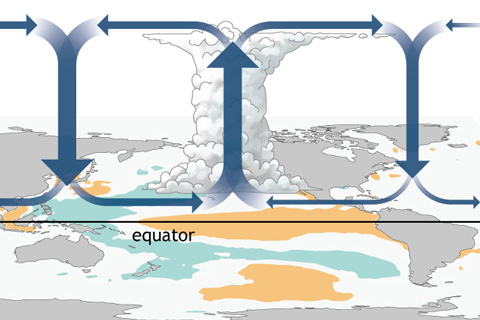 Image of El Niño & La Niña images