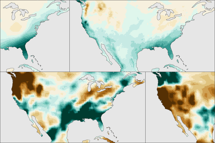 moasic of El Niño related U.S. maps