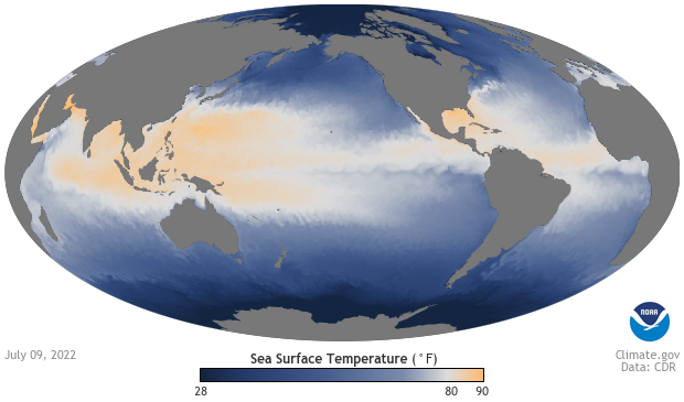 Global map of sea surface temperature the week of July 9, 2022, showing a swath of cool water across the tropical Pacific