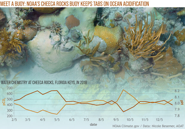 Underwater photo of Cheeca Rocks coral reef with graph overlay of water chemistry data from buoy