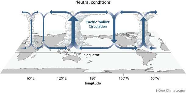 Walker Circulation neutral conditions