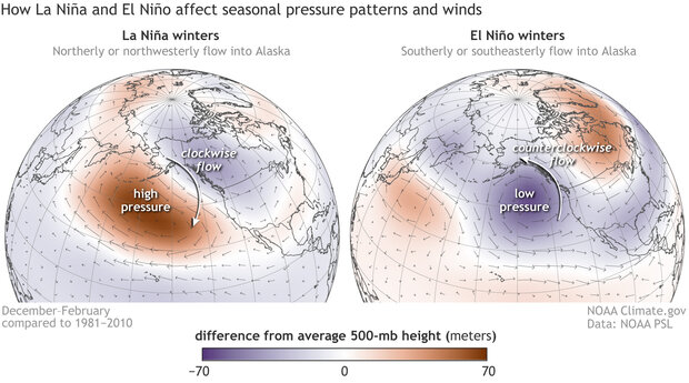 Globe-style maps of Northern Hemisphere centered on the North Pacific showing air pressure anomalies and prevailing wind direction during La Niña winters and El Niño winters