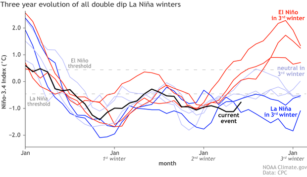 Line graph showing three-year evolution of all La Niñas on record